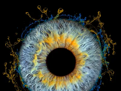 IRIS